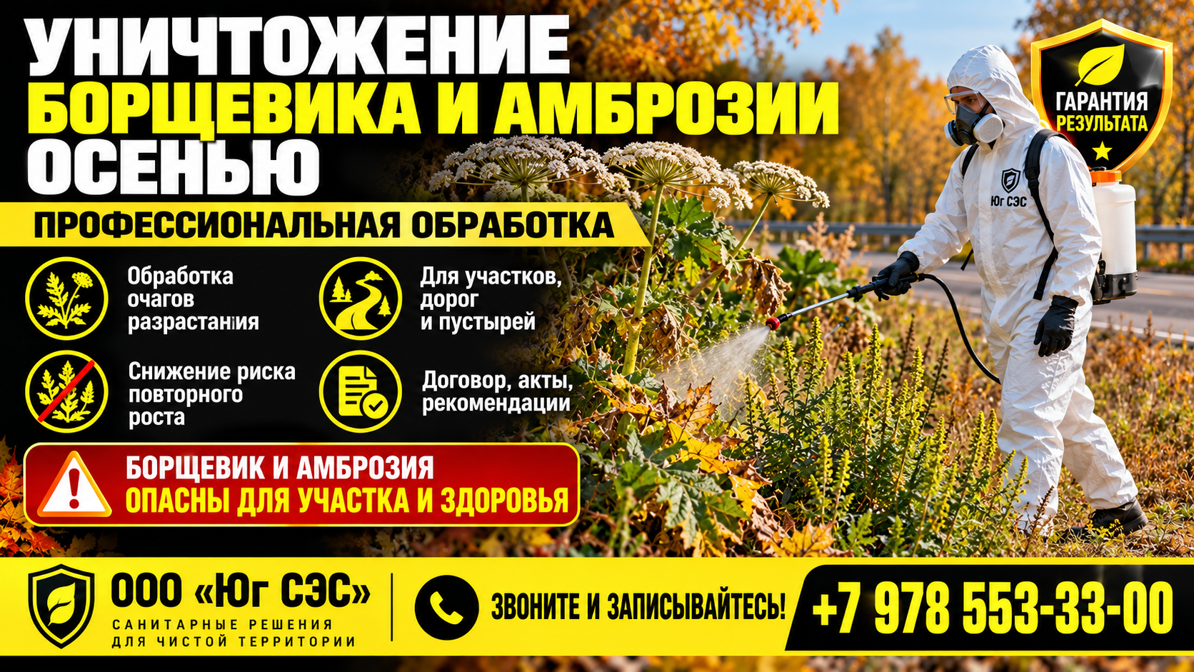 Уничтожение борщевика и амброзии осенью | ООО «Юг СЭС»